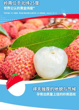 Load image into Gallery viewer, [NEW] Wang Lao Ji Sea Salt Lychee 500ml*15bottles 王老吉荔小吉海盐荔枝果汁饮料 15瓶整箱
